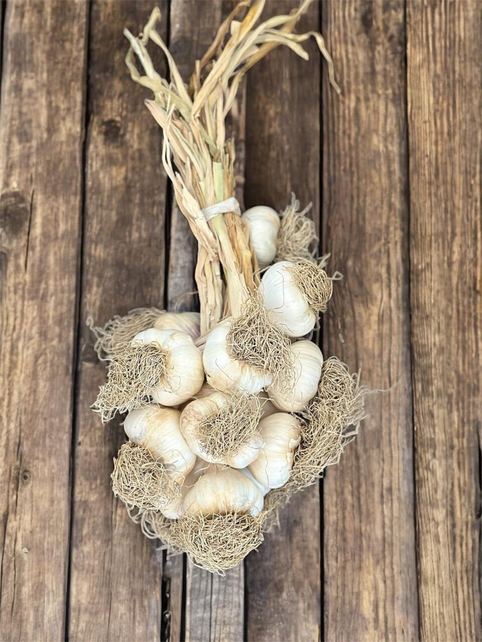 Taşköprü Sarımsağı Hakkında Sık Sorulan Sorular