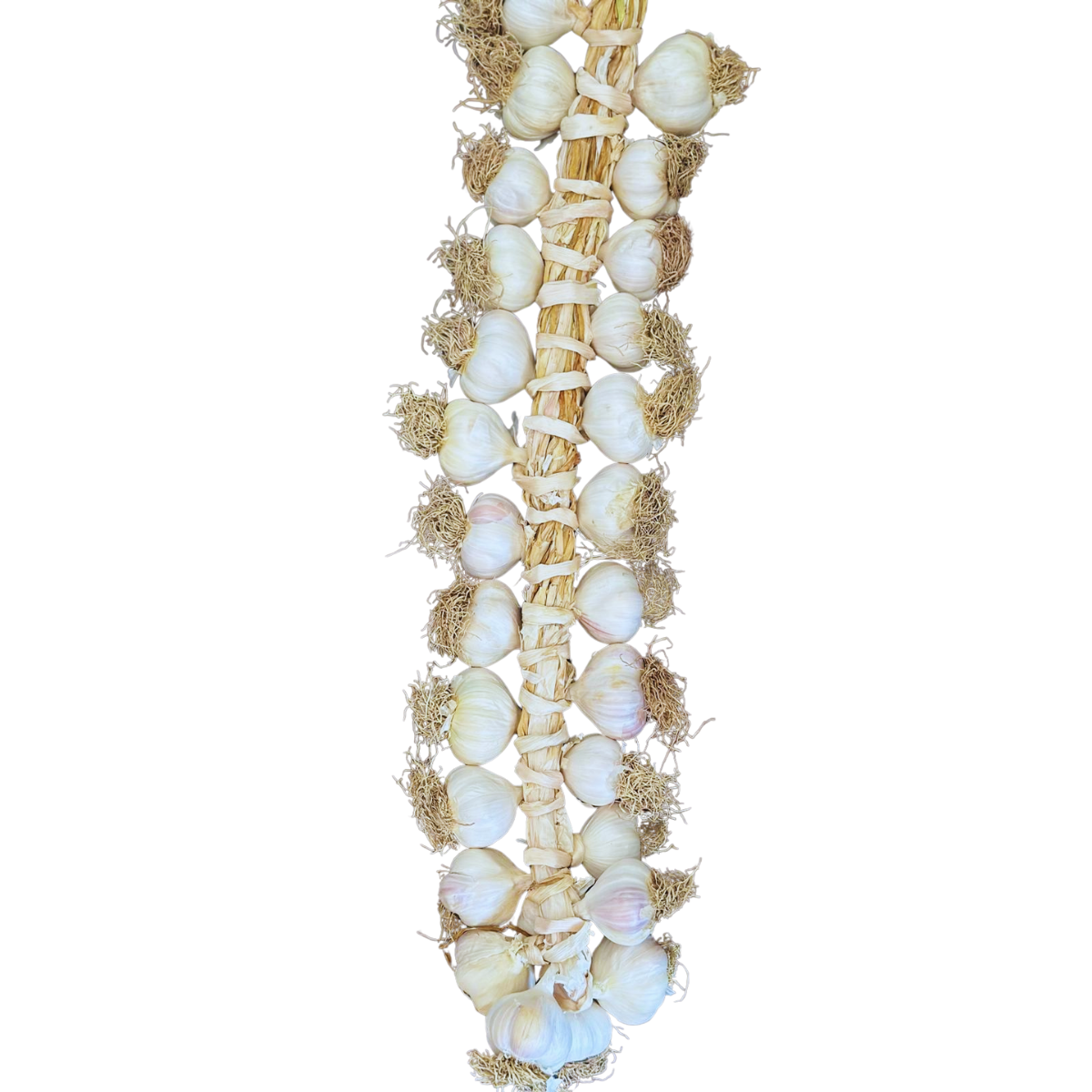 Orta Boy Taşköprü Sarımsak 2 KG