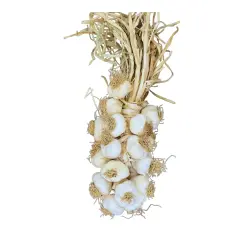 Orta Boy Taşköprü Sarımsak 2 KG