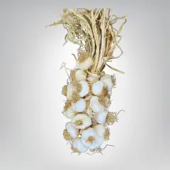 Orta Boy Taşköprü Sarımsak 2 KG