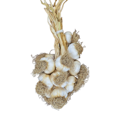 Büyük Boy Taşköprü Sarımsak 2 KG