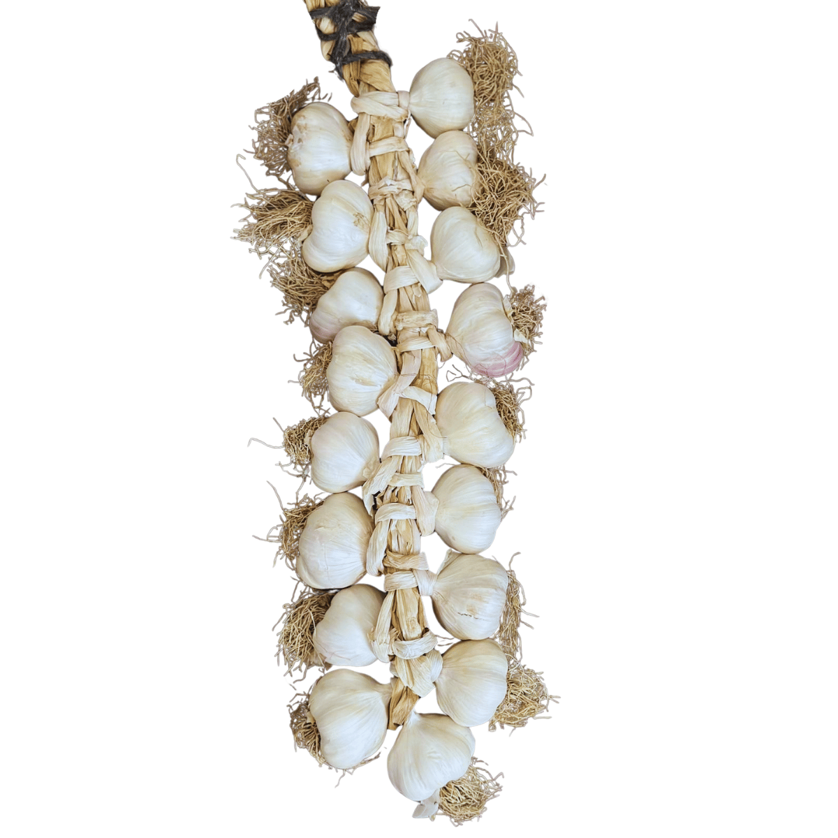 Büyük Boy Taşköprü Sarımsak 2 KG