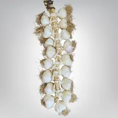 Büyük Boy Taşköprü Sarımsak 2 KG