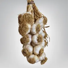 Büyük Boy Taşköprü Sarımsak 2 KG