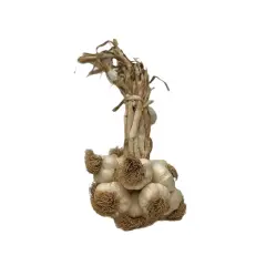 Duble Boy Taşköprü Sarımsak 2 KG