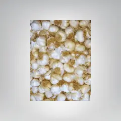 Kopuk Baş Taşköprü Sarımsak