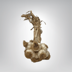 Duble Boy Taşköprü Sarımsak 3 KG