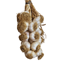 Büyük Boy Taşköprü Sarımsak 3 KG