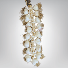 Büyük Boy Taşköprü Sarımsak 3 KG