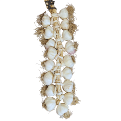 Büyük Boy Taşköprü Sarımsak 3 KG