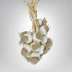 Büyük Boy Taşköprü Sarımsak 3 KG