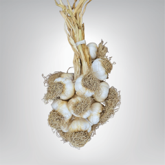 Büyük Boy Taşköprü Sarımsak 5 KG