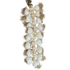 Büyük Boy Taşköprü Sarımsak 5 KG