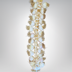 Orta Boy Taşköprü Sarımsak 3 KG