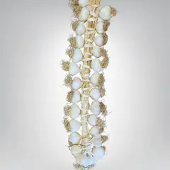 Orta Boy Taşköprü Sarımsak 5 KG