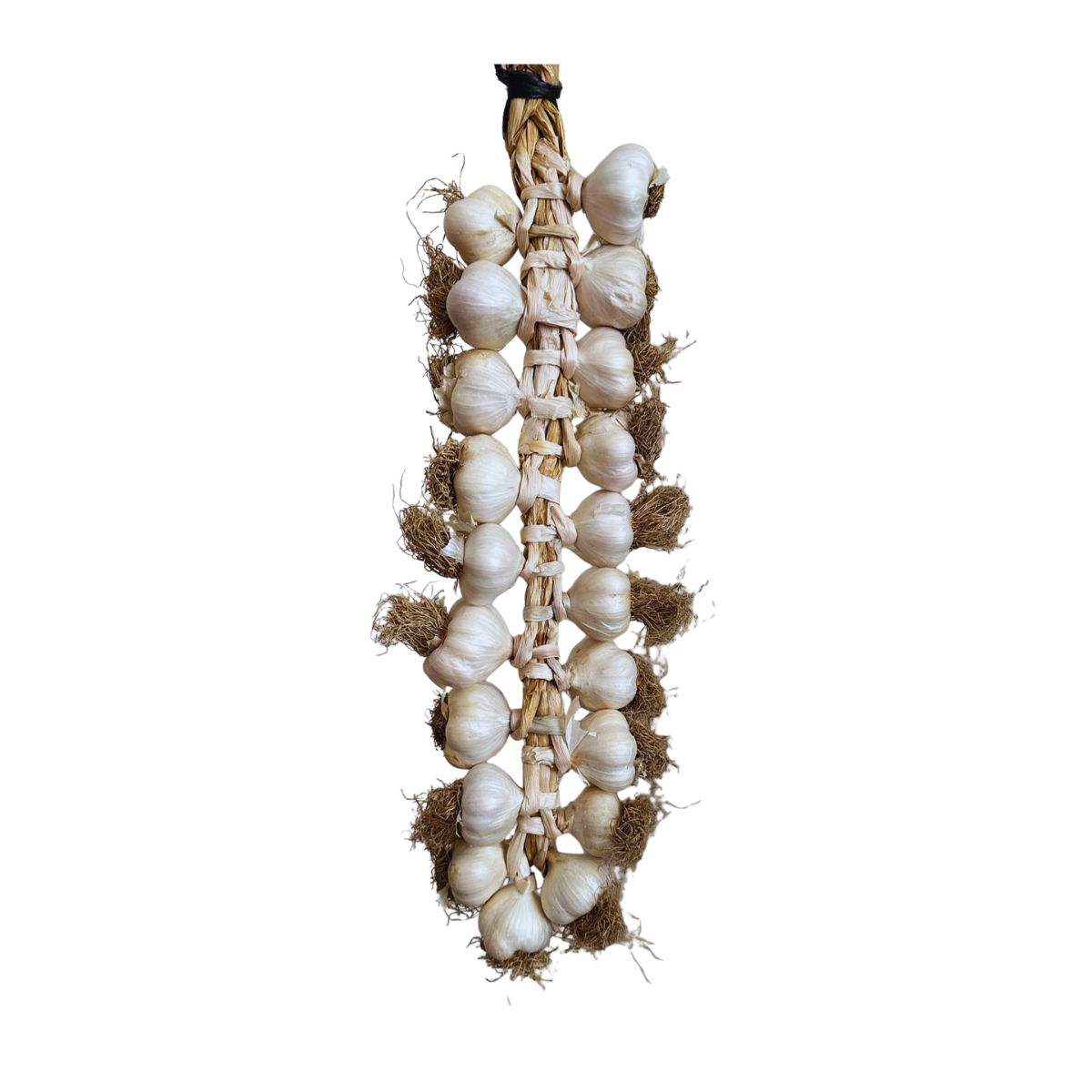 Küçük Boy Taşköprü Sarımsak 2 KG