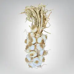 Küçük Boy Taşköprü Sarımsak 2 KG