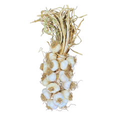 Küçük Boy Taşköprü Sarımsak 3 KG