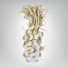 Küçük Boy Taşköprü Sarımsak 3 KG