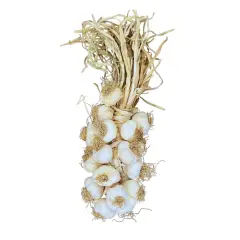 Küçük Boy Taşköprü Sarımsak 3 KG