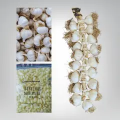 Ekonomik Paket - (Orta Boy 3 KG, Soyulmuş 500 GR, Kopuk Baş 1 KG)