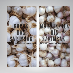 Sarımsak Baş Paketi - (2 Kilogram Mürdük / Tek Diş,  1 Kilogram Kopuk Baş Taşköprü Sarımsak)