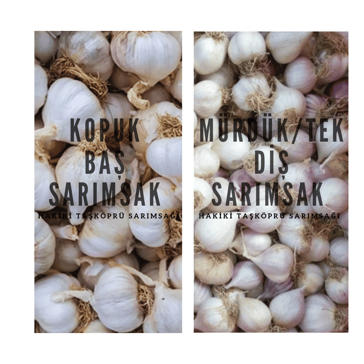 Sarımsak Baş Paketi - (2 Kilogram Mürdük / Tek Diş,  1 Kilogram Kopuk Baş Taşköprü Sarımsak)