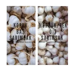 Sarımsak Baş Paketi - (2 Kilogram Mürdük / Tek Diş,  1 Kilogram Kopuk Baş Taşköprü Sarımsak)